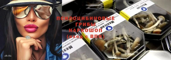 spice Белокуриха