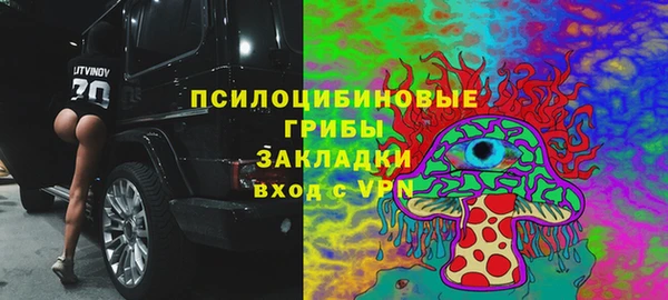 спиды Осинники