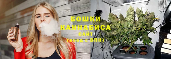 сатива Белоозёрский